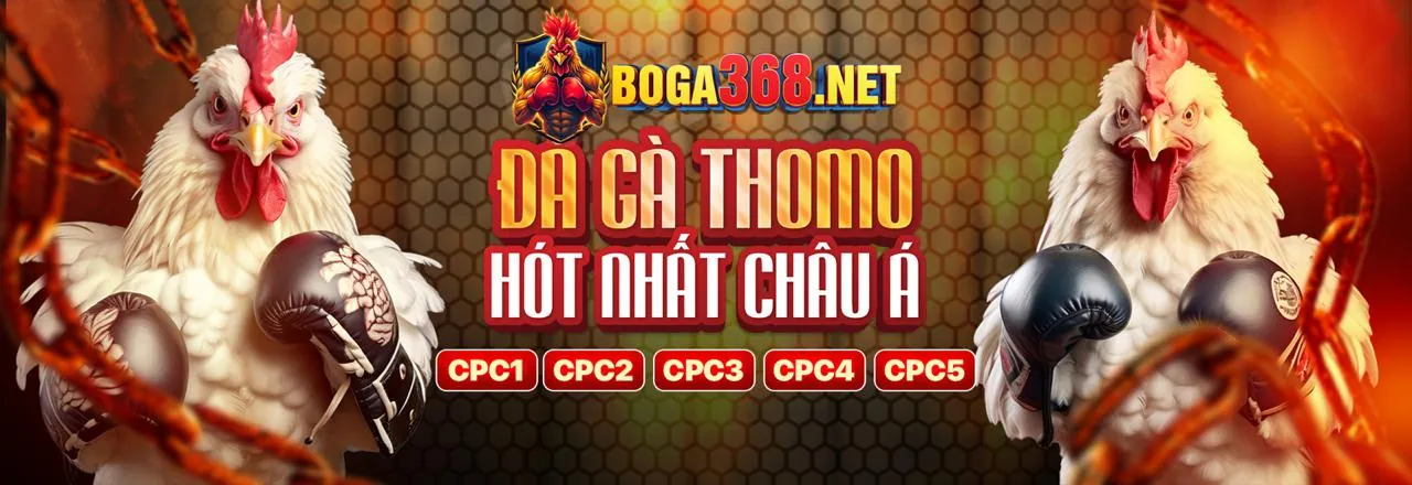 Đa dạng trò chơi cá cược tại 78win vip